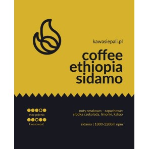 kawa ethiopia sidamo - puszka 120g 2