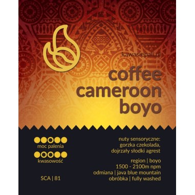 kawa cameroon boyo - puszka 120g