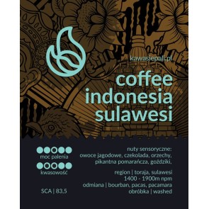 kawa indonesia sulawesi kalosi 2