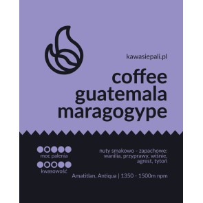 kawa guatemala maragogype w butelce 280g 2