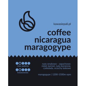 kawa nicaragua maragogype w butelce 280g 2