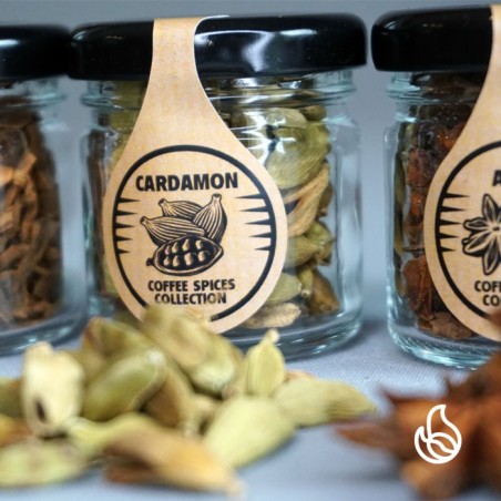 coffee spices collection - przyprawy do kawy